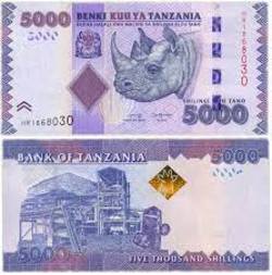 5 000 шиллингов