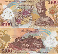100 доларів (ринггітів)