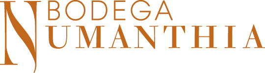Bodega Numanthia