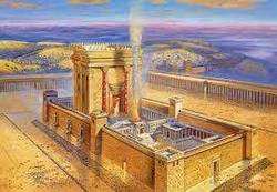 Сімнадцяте томуза