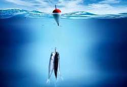 День працівн. рибного господарства