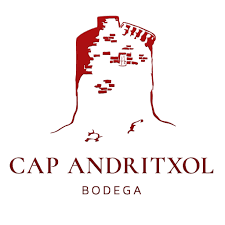 Cap Andritxol