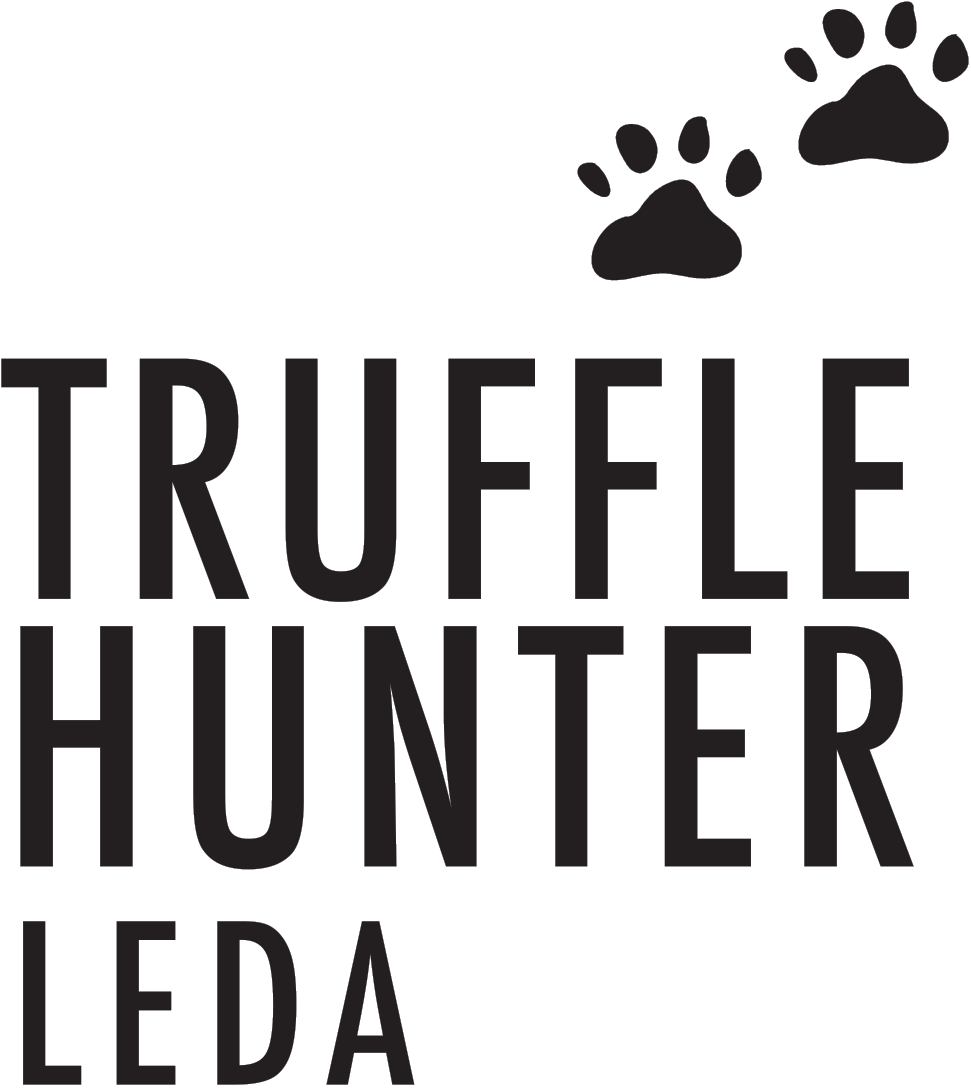Truffle Hunter LEDA