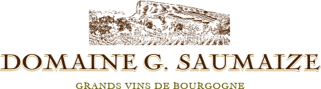 Domaine G.Saumaize