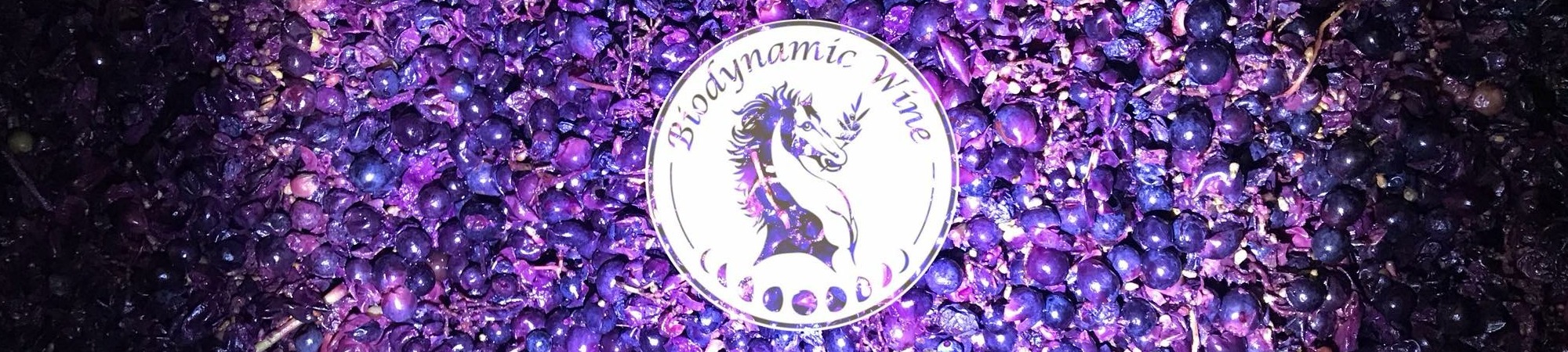 Domaine des Carabiniers