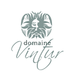 Domaine Vintur