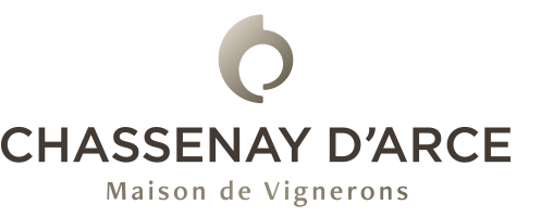 Champagne Chassenay d'Arce