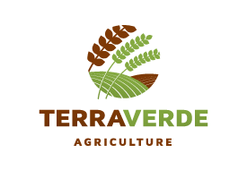 Terra Verde