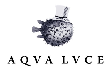 Aqva Lvce