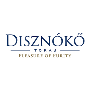Disznókő