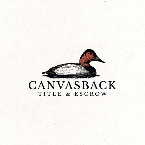 Canvasback