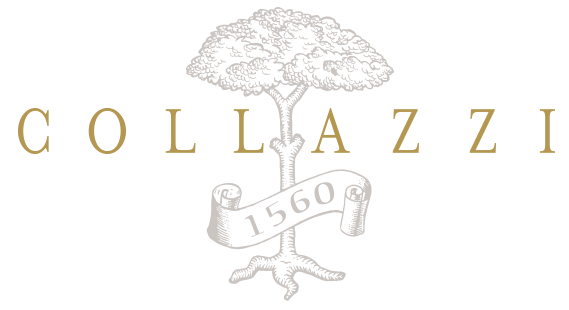 Collazzi