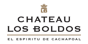 Chateau Los Boldos