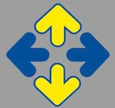 ДСМС УКРАЇНА ЛТД