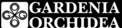 Gardenia Orchidea