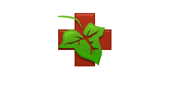 Клиника естественной медицины