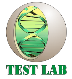 Тест Лаб (Test Lab)
