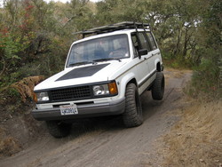 Isuzu