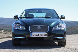 XF