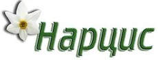 Нарцис