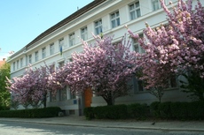 Закарпатський апеляційний суд