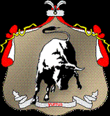 Фурман Руслан Викторович