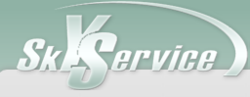 SkyService