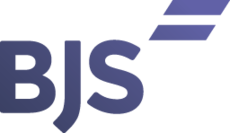 BJS Детективные юридические услуги