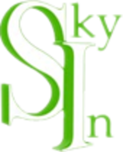 Skyin