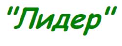 Лідер