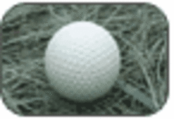 Одесский Городской Гольф Клуб