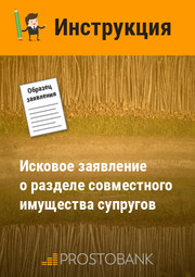 Позовна заява про поділ спільного майна подружжя. Інструкція щодо заповнення