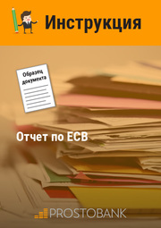 Звіт з ЄСВ