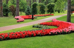 Студия ландшафтного дизайна Вирс