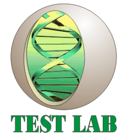 Тест Лаб
