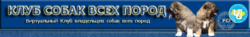 Клуб собак всех пород