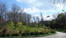 Ботсад Днепровского Национального Университета