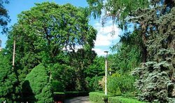 Botanycheskyi sad ym. Aleksandra Fomyna