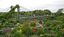 Криворожский ботанический сад