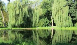 Парк им. Т.Г. Шевченко