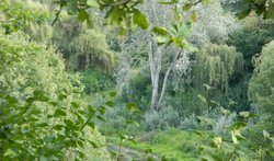 Полтавский дендропарк