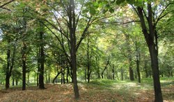 Болдины Горы