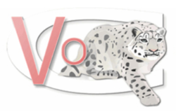 Вояж Організейшн Груп