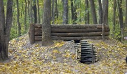 Спадщанский лес