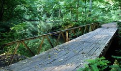 Трикратский лес