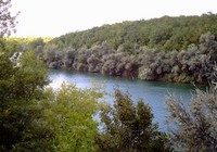 Озеро "Балаховка"