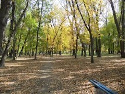 Парк культуры и отдыха им. Т. Шевченко