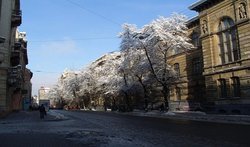 Улица князя Романа