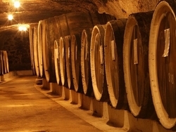 Дегустационный зал «Старый подвал»