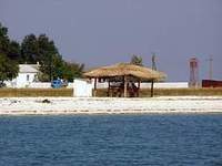 Бирючий остров